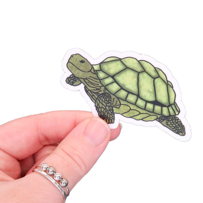 Turtle Waterproof Sticker