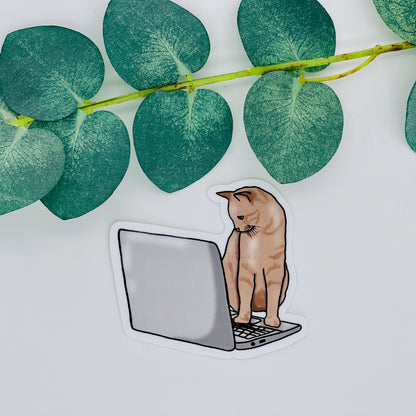 Orange Cat on Laptop Waterproof Sticker