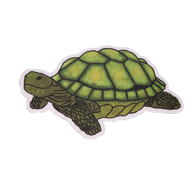 Turtle Waterproof Sticker